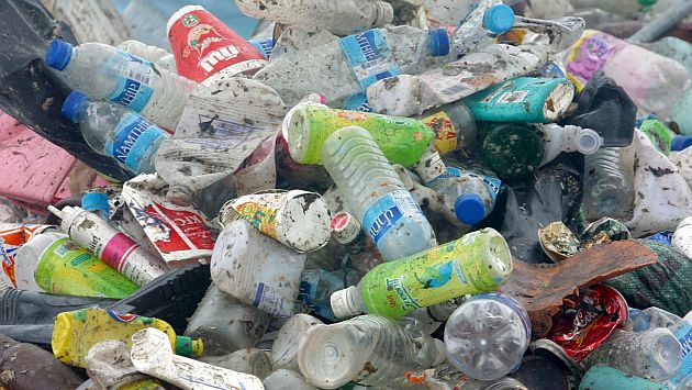 Descubren bacteria capaz de degradar el plástico y salvar al planeta de la contaminación. (EFE)