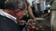 Arequipa: Inspectores municipales hallaron cucarachas y carne en mal estado en restaurantes 