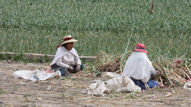 Ministerio de Agricultura aprobó la Política Nacional Agraria. (Peru21)