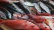 Semana Santa: El pescado no solo debe ser consumido en estas fechas