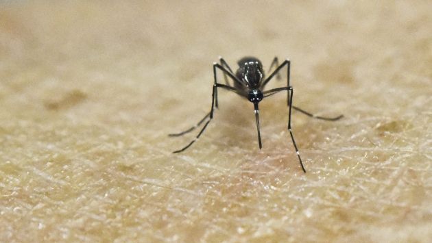 Zika: Colombia sobrepasa los 58,800 infectados por el virus. (AFP)