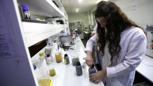 10 personas en Chile contrajeron el virus de zika en el extranjero. (EFE)