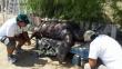 Tacna: Tortuga marina gigante fue hallada muerta en orilla del mar
