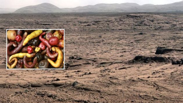 NASA: 65 variedades de papa peruana serán llevadas a Marte. (WSJ)