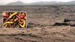 NASA enviará más de 65 variedades de papa peruana a Marte