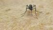 Estados Unidos confirmó relación directa entre zika y la microcefalia