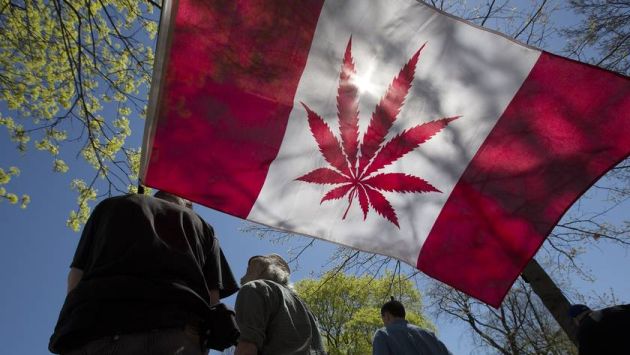 Mayoría de canadienses aprueba la legalización de la marihuana. (Getty Images)
