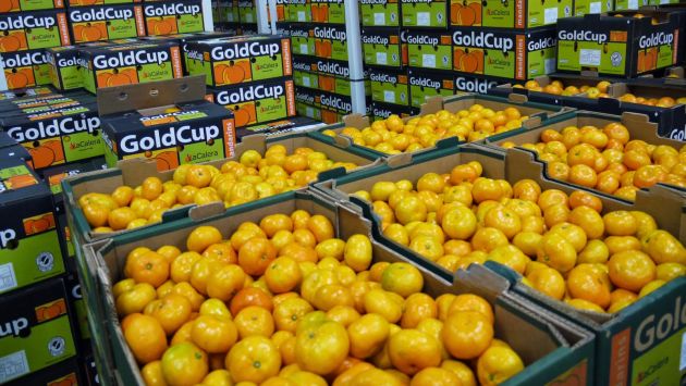 Perú exige a Ecuador levantar medida impuesta contra cinco productos vegetales. (Difusión)