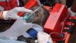 Kenia: Rescatan con vida a mujer atrapada 6 días tras derrumbe de edificio [Fotos]
