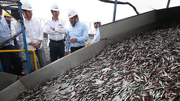 Produce espera evaluaciones de Imarpe para decidir inicio de temporada de pesca. (USI)