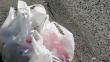 Marruecos: Bolsas de plásticos quedarán prohibidas desde el 1 de julio