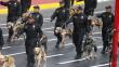 Parada Militar: Policía Canina se llevó los aplausos del público con esta presentación [Fotos y video]