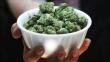 Marihuana al plato, la propuesta gastronómica de un biólogo molecular