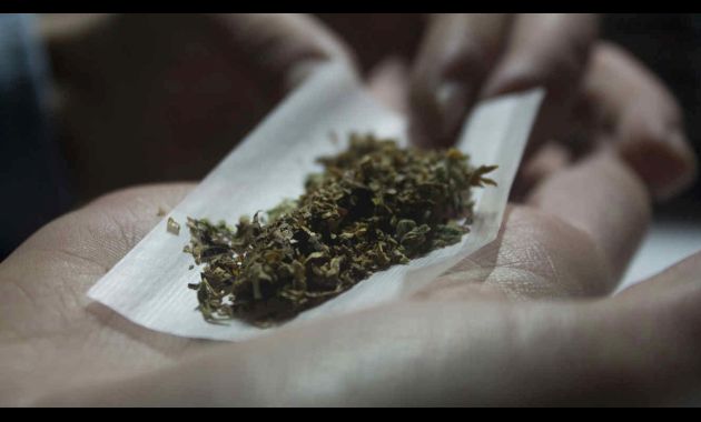 La DEA rechazó sacar a la marihuana de la lista de drogas más peligrosas. (www.telemundo.com)