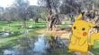 'Amanecida Pokémon' no cuenta con autorización para realizarse en El Olivar de San Isidro