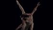 Ballet Nacional del Perú participará en Festival Internacional de Ballet de Cali