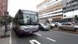 Protransporte anunció que buses morados irán por la Av. Abancay