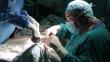 Operaciones gratuitas a personas con labio leporino y paladar hendido en el hospital Loayza