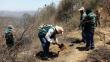 Controlaron el incendio forestal en Piura que afectó 500 hectáreas de bosque seco
