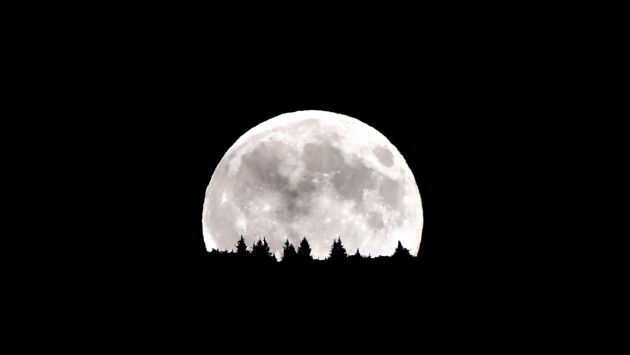 La Luna se verá más grande que en los últimos 69 años este 14 de noviembre. (AFP)