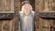 'Albus Dumbledore' aparecerá en secuela de 'Fantastic Beasts And Where To Find Them'