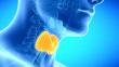 Tres enfermedades que pueden afectar la tiroides