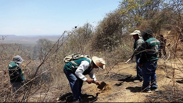 Huancavelica: El incendio que duró 3 días destruyó 5 hectáreas de cobertura natural. (Andina)