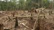 Madre de Dios ocupa segundo lugar en deforestación por minería aurífera en bosques tropicales de Sudamérica