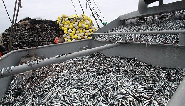 La producción del sector Pesca aumentó 3.43% por efecto de la mayor captura de especies para consumo humano directo. (USI)