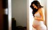 Silvia Cornejo mostró imágenes de la evolución de su embarazo