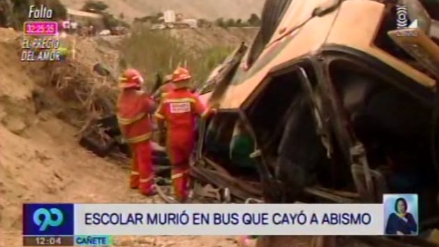 Escolar falleció tras caída del bus de promoción a un abismo en Cañete. (Foto Captura)