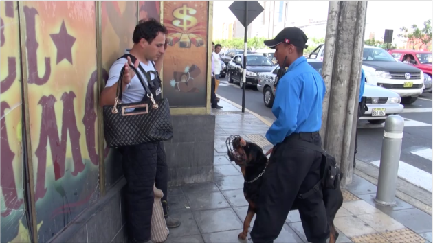 Doce perros ayudarán a la seguridad ciudadana de Miraflores. (Difusión)
