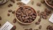 Del cacao al chocolate: Conoce todos los detalles de su proceso de transformación