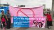 Continúan colgando carteles contra la 'ideología de género' en Lima [Video]
