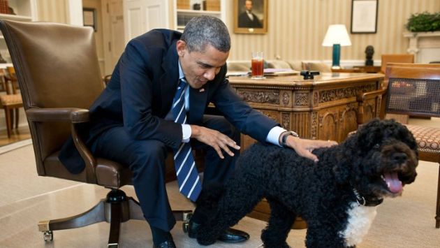 Sunny tiene 4 años de edad y es de raza portuguesa. (Pete Souza / The White House)