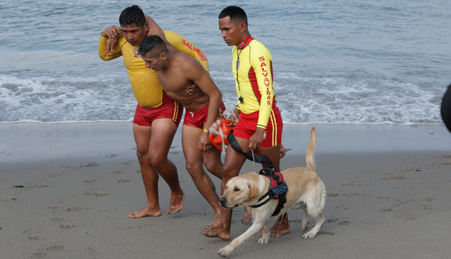 La Unidad de Salvataje cuenta con 693 salvavidas distribuidos en 110  playas  (Foto: Piko Tamashiro)