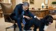 Barack Obama: 'Sunny', la mascota del presidente, mordió la cara a invitada de la Casa Blanca
