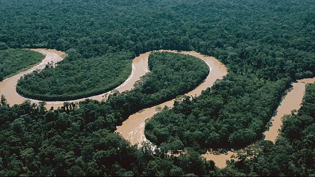 Perú tiene 73 millones de hectáreas de bosques y esto representa  más de la mitad del territorio nacional.(Difusión)