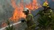 Policía captura a 43 sospechosos por los incendios forestales en Chile