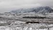 Temporal de nieve mata a casi 150 personas en Afganistán 