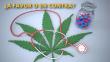 Marihuana medicinal: Proyecto para legalizar su uso genera polémica