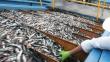 Exportaciones pesqueras cayeron 9%, aseguró ADEX