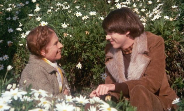 Harold and Maude es una de las películas que recomendamos en el día de San Valentín. 