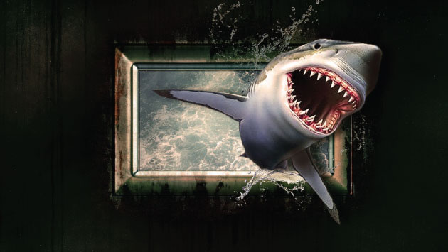 Los ataques mortales de tiburones son raros. (Pixabay)