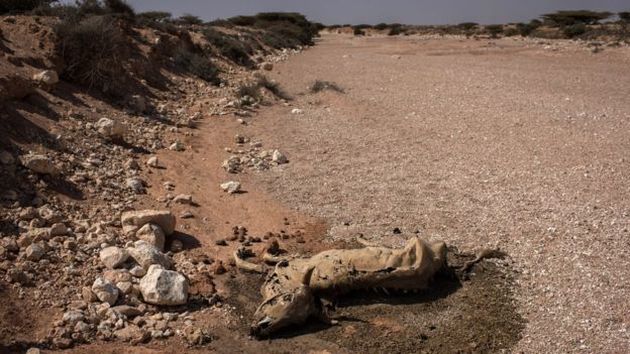 Somalia sufre una de las peores sequías de su historia (Getty Images)