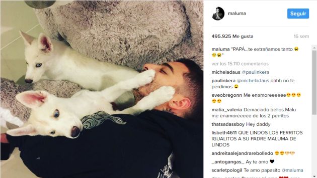 Maluma y sus mascotas (Instagram)