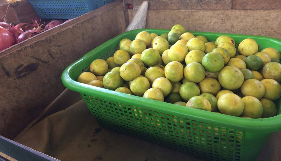 Ministro de Agricultura aseguró que el kilo de limón cuesta entre S ... - Diario Perú21