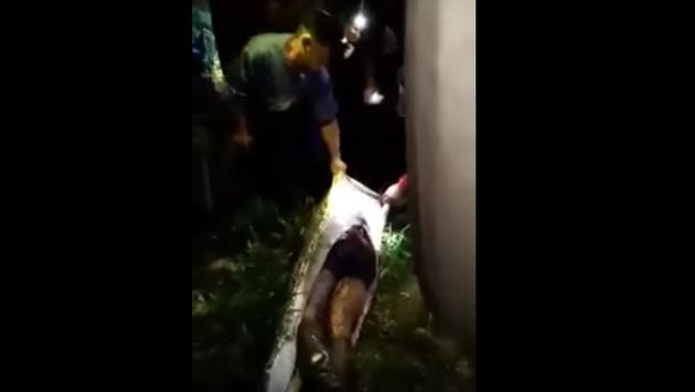 Indonesia: Hombre fue encontrado dentro de las entrañas de una pitón. (Captura YouTube)