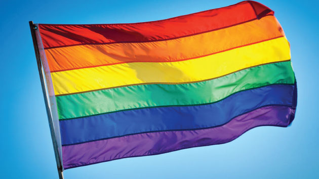 Bandera del arcoíris es símbolo de la causa LGBT en el mundo.