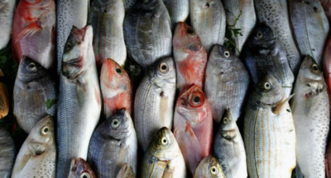 El consumo de pescado suele crecer significativamente en los días de Semana Santa. 
